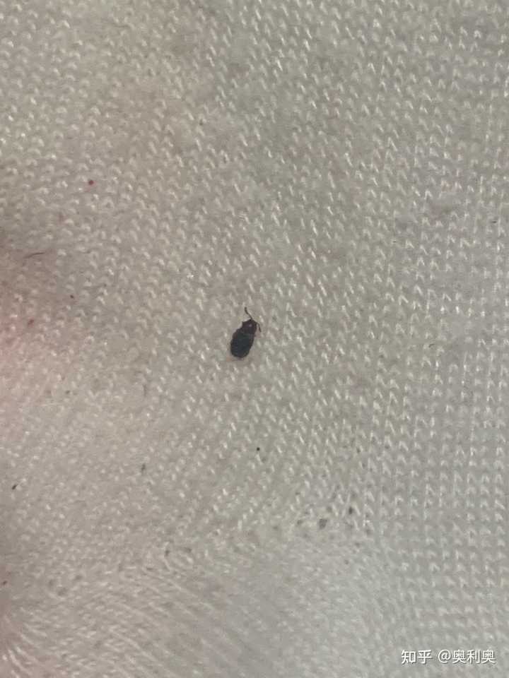 最新资讯 第57页