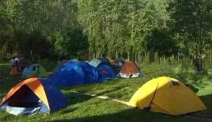 游戏专题 第44页