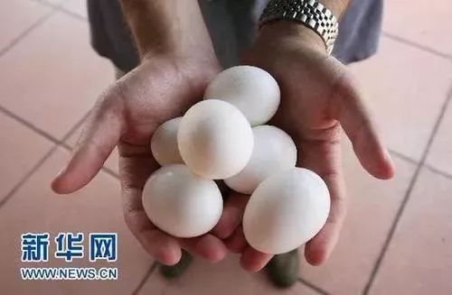 港澳新闻 第5页