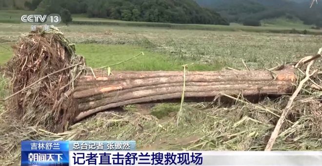 第195页