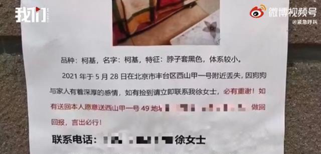 女子悬赏上海一套房寻子：6代单传震撼！女子悬赏上海一套房寻子，家族六代单传血脉