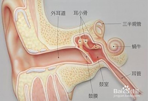 爸爸掏耳朵被孩子撞到致耳膜脱落爸爸掏耳朵遭遇意外，孩子不慎撞到致耳膜脱落
